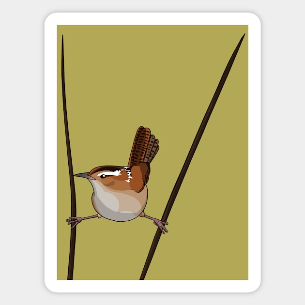 Marsh Wren Magnet by Feathered Focus